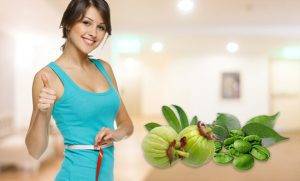 Herbal Ingredients for Weight Management